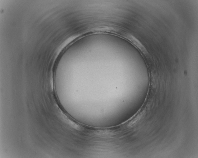 X0000076401036200610202125