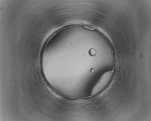 X0000076401037200610202125