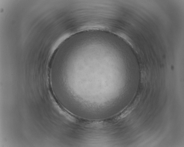 X0000076401038200610202125