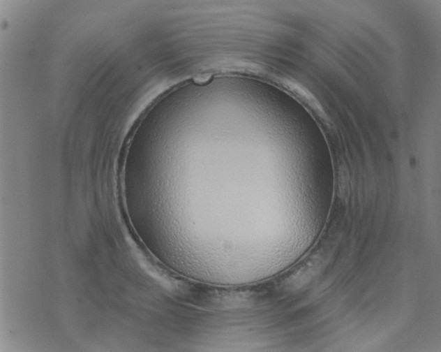 X0000076401039200610202125