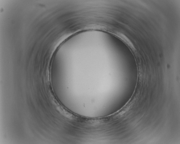 X0000076401044200610202125