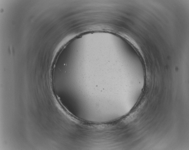 X0000076401045200610202125