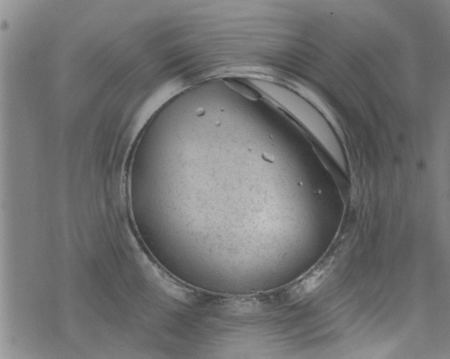 X0000076401050200610202125