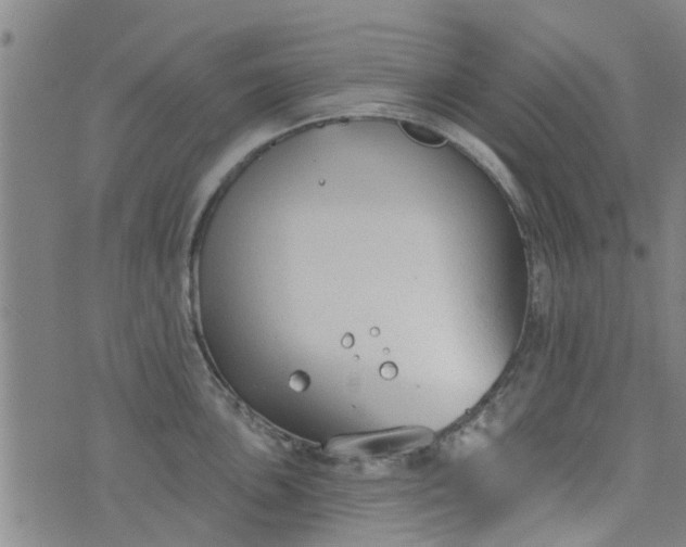 X0000076401051200610202125