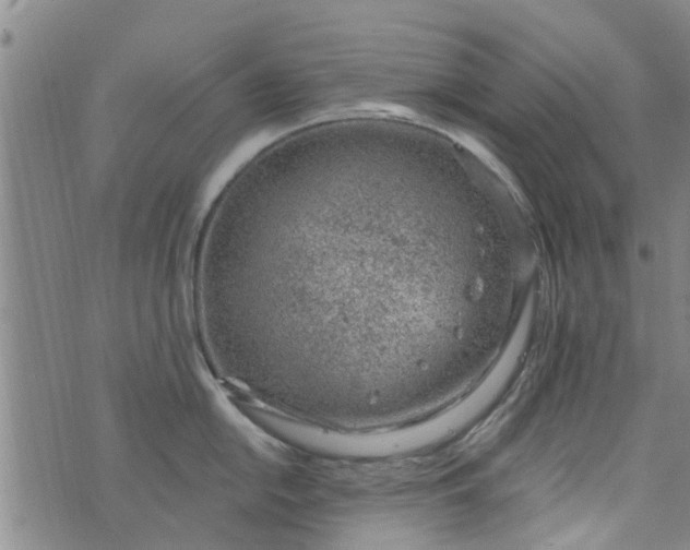 X0000076401054200610202125