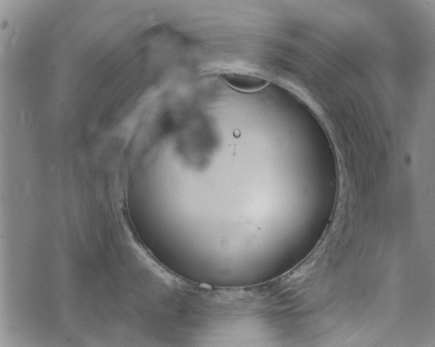 X0000076401056200610202125