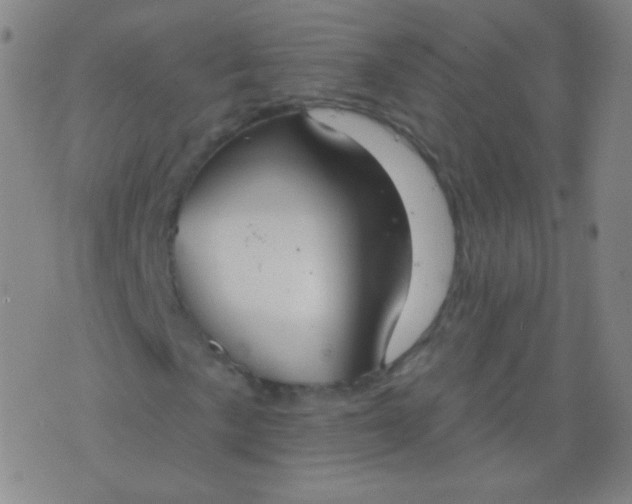 X0000076401057200610202124