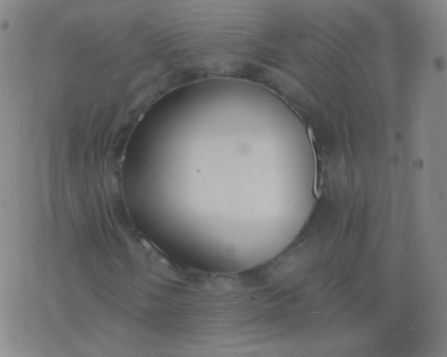 X0000076401058200610202124