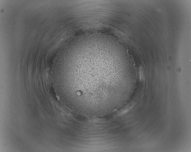 X0000076401059200610202124