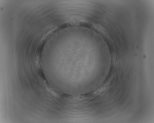 X0000076401060200610202124