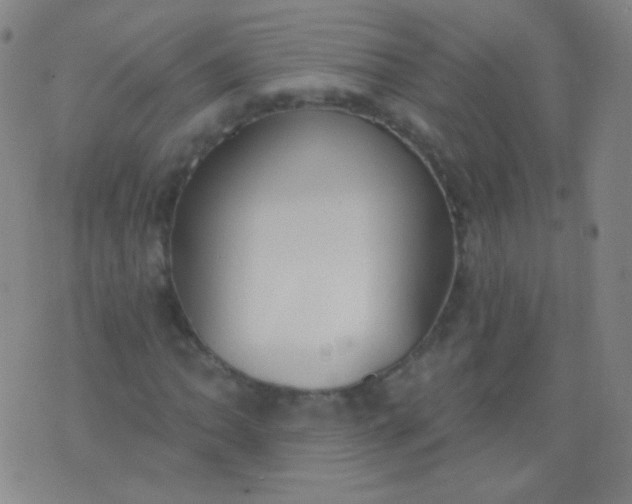 X0000076401062200610202124