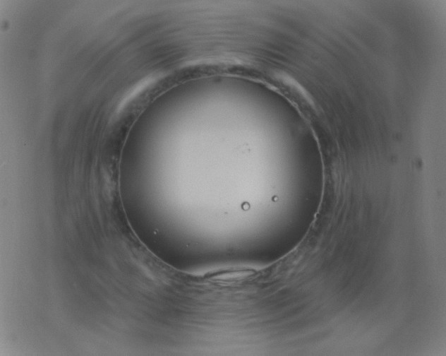 X0000076401064200610202124