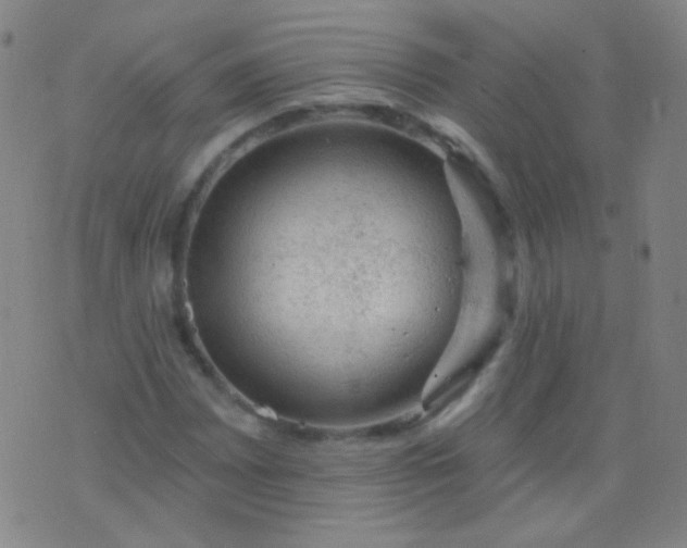 X0000076401065200610202124