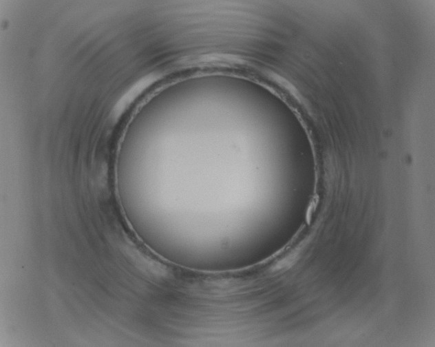 X0000076401066200610202124