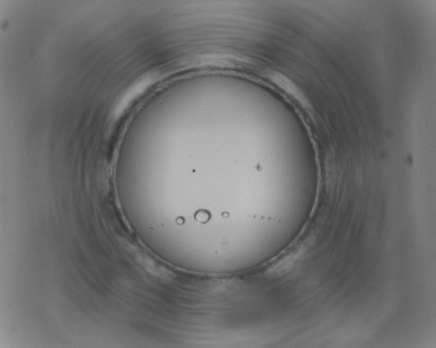 X0000076401067200610202124