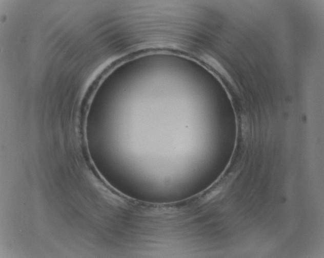 X0000076401068200610202124