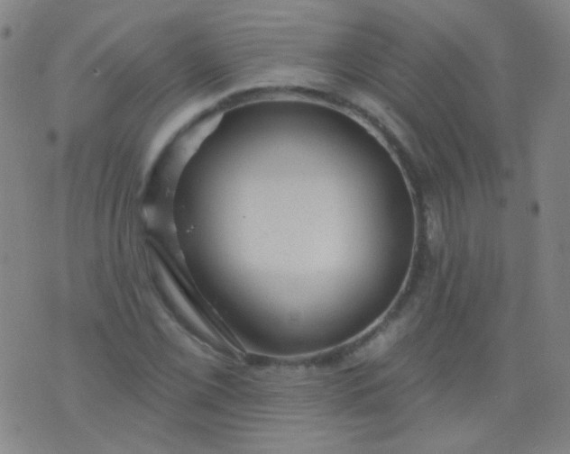 X0000076401069200610202124