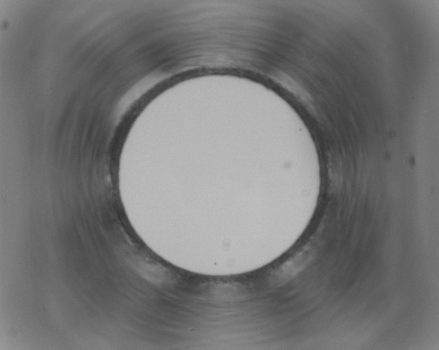 X0000076401070200610202124