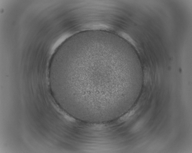 X0000076401071200610202124