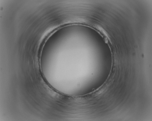 X0000076401072200610202124