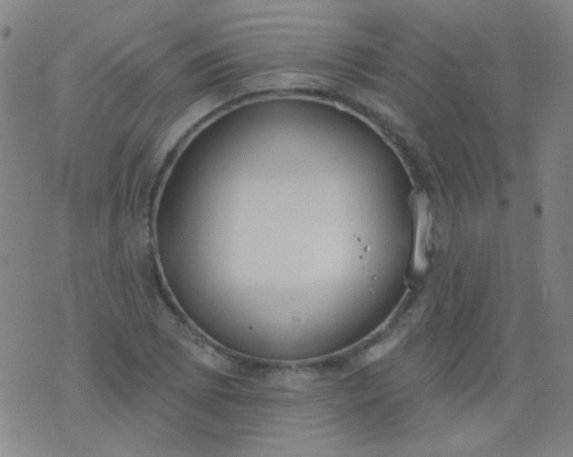 X0000076401073200610202124