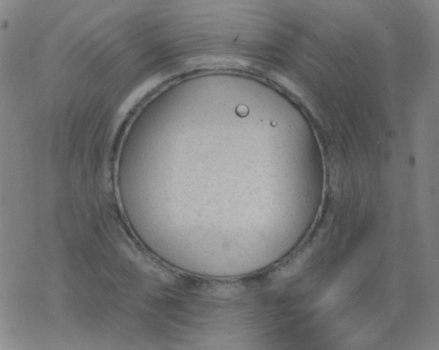 X0000076401074200610202124