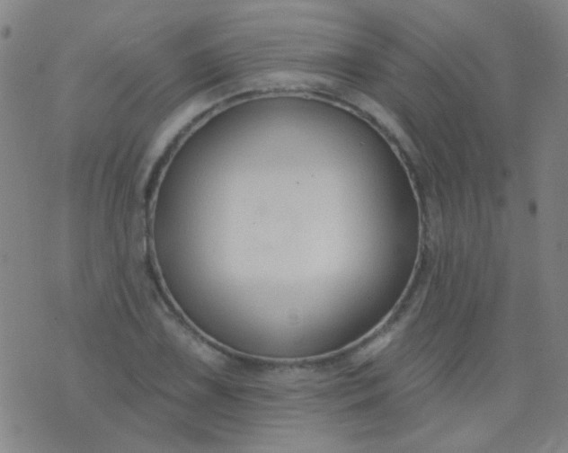 X0000076401075200610202124