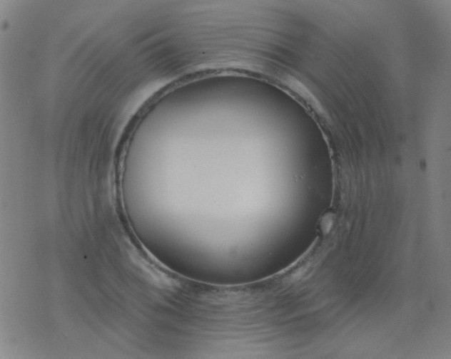 X0000076401076200610202124