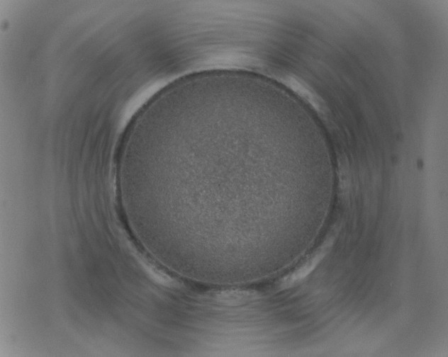 X0000076401077200610202124