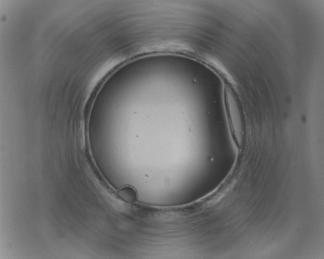 X0000076401079200610202124