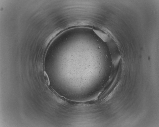 X0000076401081200610202124