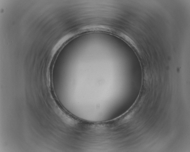 X0000076401082200610202124