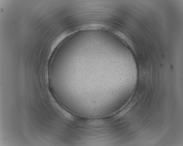 X0000076401083200610202124