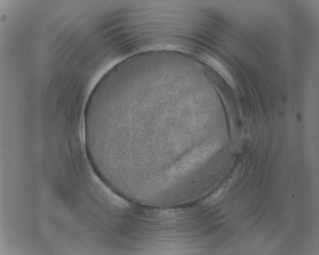 X0000076401084200610202124