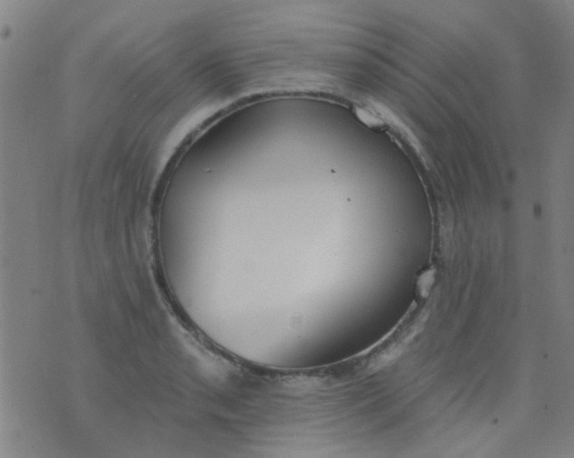 X0000076401085200610202124