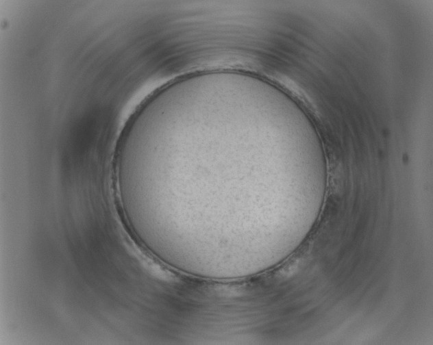 X0000076401086200610202124