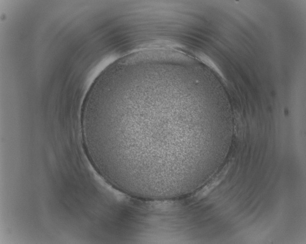 X0000076401087200610202124