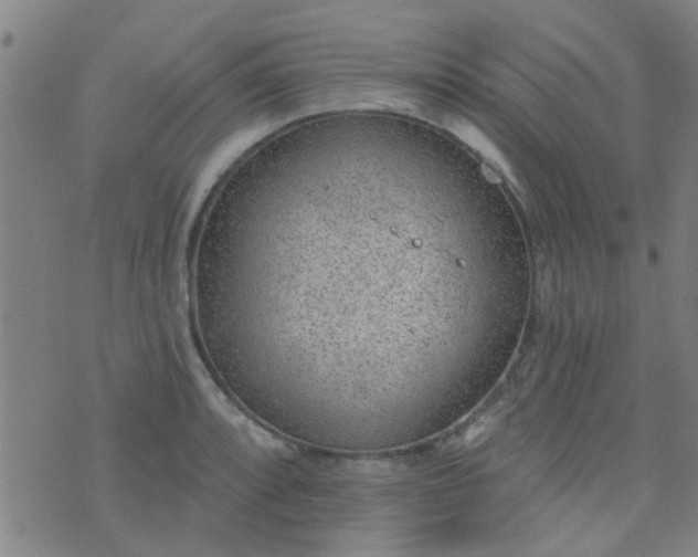 X0000076401088200610202124