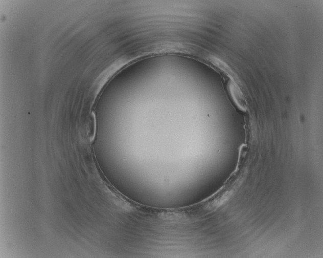 X0000076401089200610202124