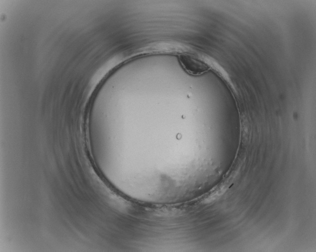 X0000076401091200610202124