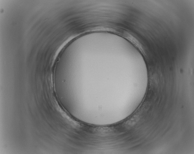 X0000076401092200610202124