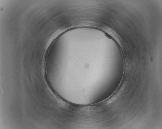 X0000076401093200610202124