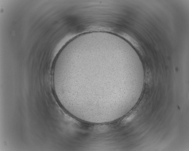 X0000076401094200610202124