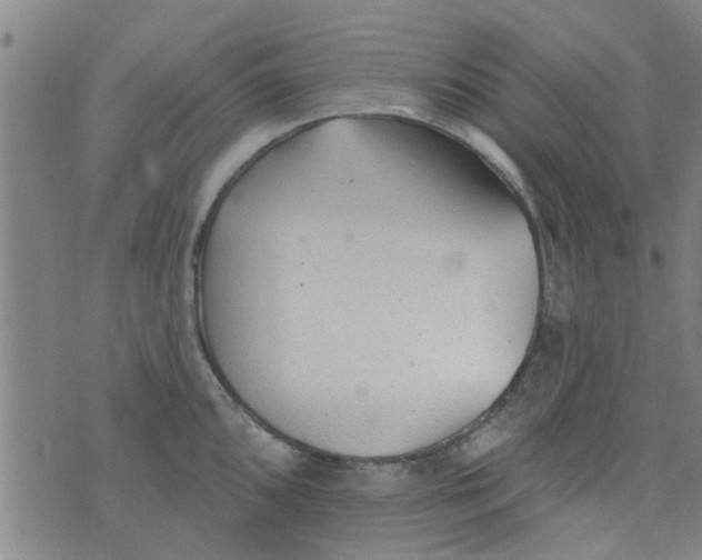 X0000076401096200610202124