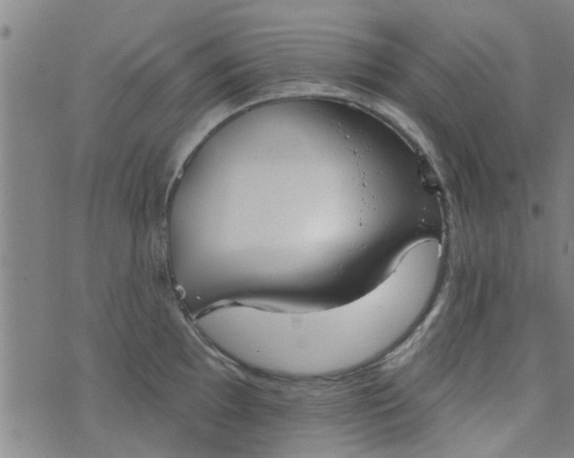 X0000076401097200610202124