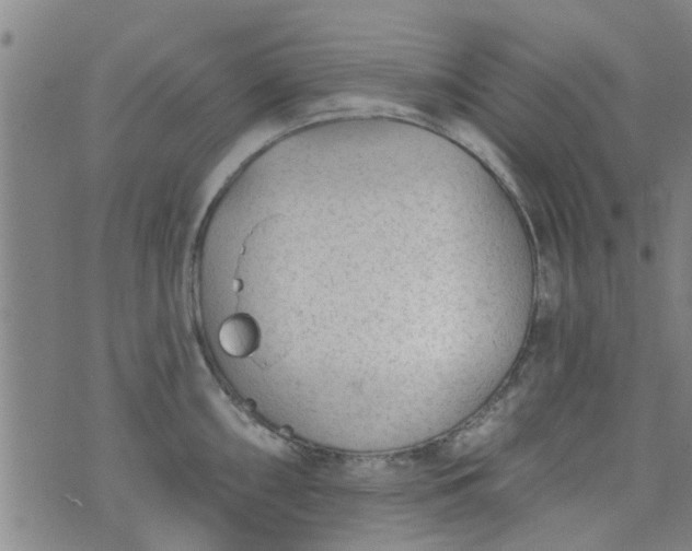 X0000076401098200610202124