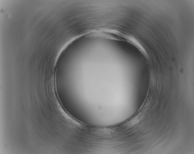 X0000076401100200610202124