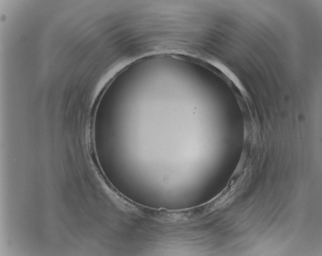 X0000076401101200610202124