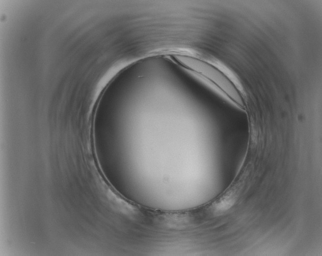 X0000076401102200610202124