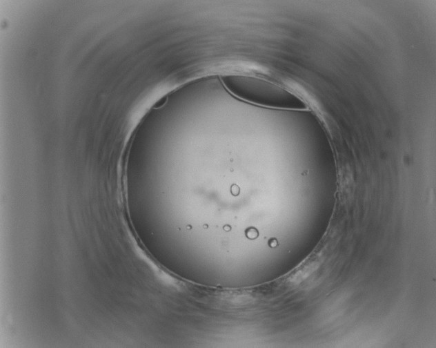 X0000076401103200610202124